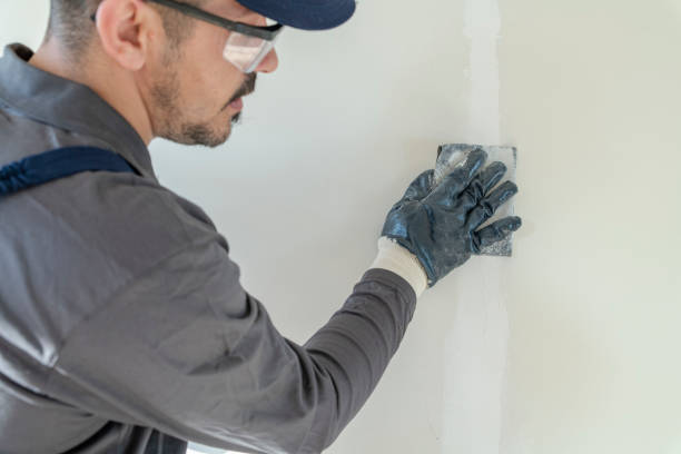  El Paso De Robles, CA Mold Removal Pros