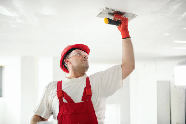 Best Mold Prevention Services  in El Paso De Robles, CA