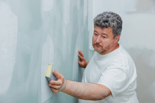  El Paso De Robles, CA Mold Removal Pros