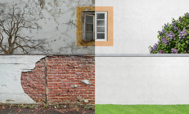 Best Emergency Mold Remediation  in El Paso De Robles, CA